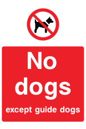 No Dogs Except Guide Dogs Sign