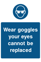 Wear Goggles Your Eyes Cannot Be Replaced
